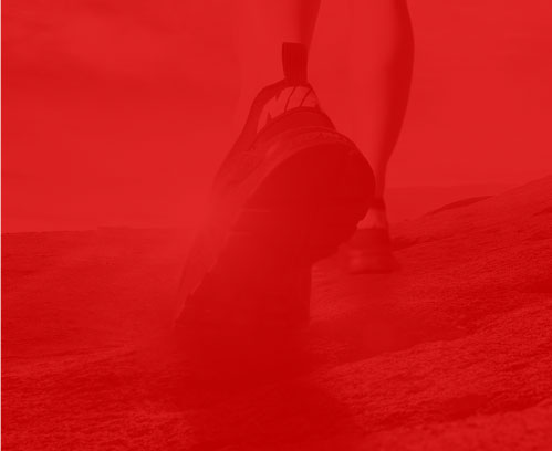 ɳվ˾